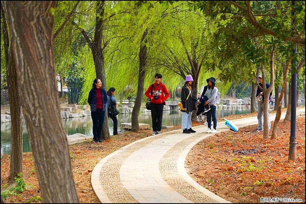【春天,广西桂林灌阳县向您发出邀请!】江口老街又逢春 - 游山玩水 - 佳木斯生活社区 - 佳木斯28生活网 jms.28life.com