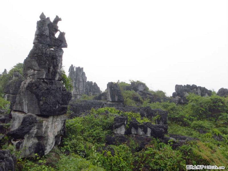 桂林旅游名城景点:灌阳文市石林 - 游山玩水 - 佳木斯生活社区 - 佳木斯28生活网 jms.28life.com