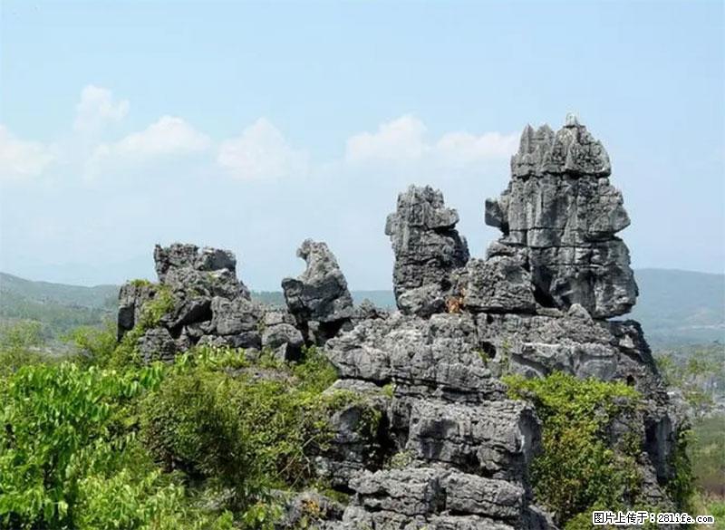 桂林旅游名城景点:灌阳文市石林 - 游山玩水 - 佳木斯生活社区 - 佳木斯28生活网 jms.28life.com