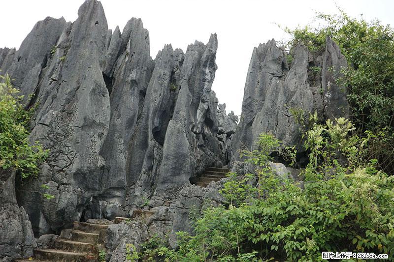 桂林旅游名城景点:灌阳文市石林 - 游山玩水 - 佳木斯生活社区 - 佳木斯28生活网 jms.28life.com