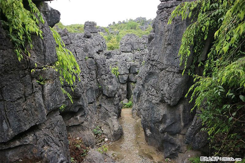 桂林旅游名城景点:灌阳文市石林 - 游山玩水 - 佳木斯生活社区 - 佳木斯28生活网 jms.28life.com