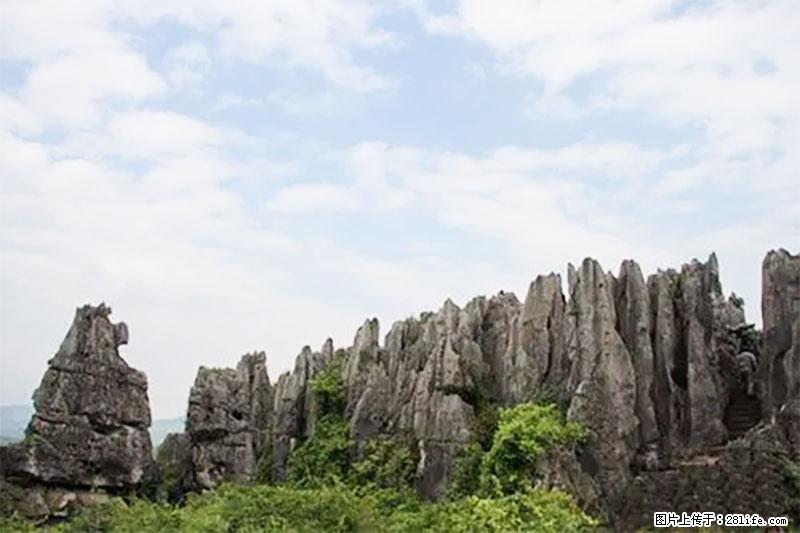 桂林旅游名城景点:灌阳文市石林 - 游山玩水 - 佳木斯生活社区 - 佳木斯28生活网 jms.28life.com