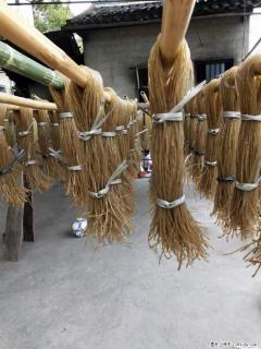 【灌阳正宗红薯粉】美女家里自己做的,干净卫生,假一赔十,价格合理,抢购电话:13737312895 - 佳木斯28生活网 jms.28life.com