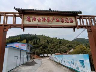 【灌阳县油茶产业示范区】一个有着充实的精神生活的人,对待身外之物自会有一种淡泊的态度 - 佳木斯28生活网 jms.28life.com