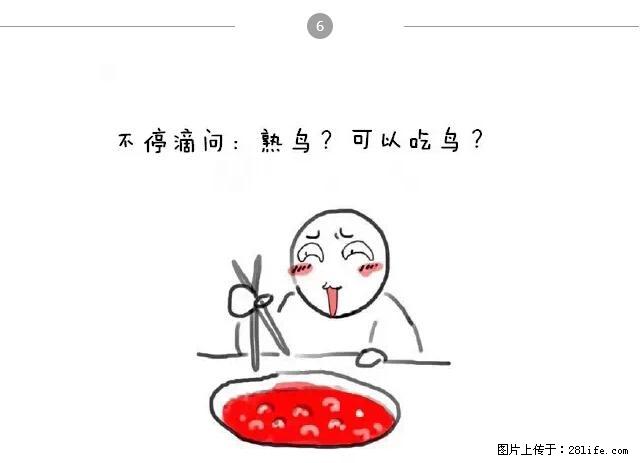 千万不要和这9种哈卵一起吃火锅! - 美食天地 - 佳木斯生活社区 - 佳木斯28生活网 jms.28life.com