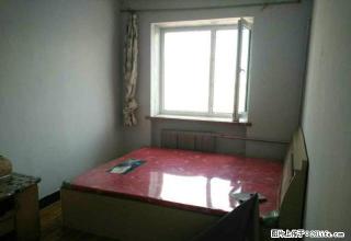 新玛特东:建业大楼,健民医院后身 - 佳木斯28生活网 jms.28life.com