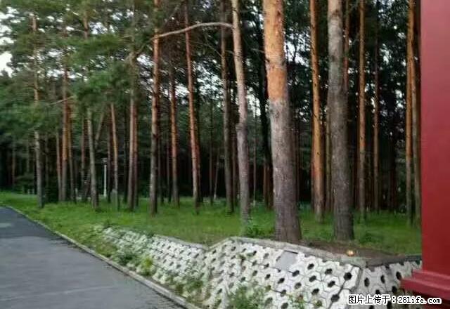 大早市附近高层48平米精装修热水器冰箱洗衣机衣柜沙发 - 房屋出租 - 房屋租售 - 佳木斯分类信息 - 佳木斯28生活网 jms.28life.com