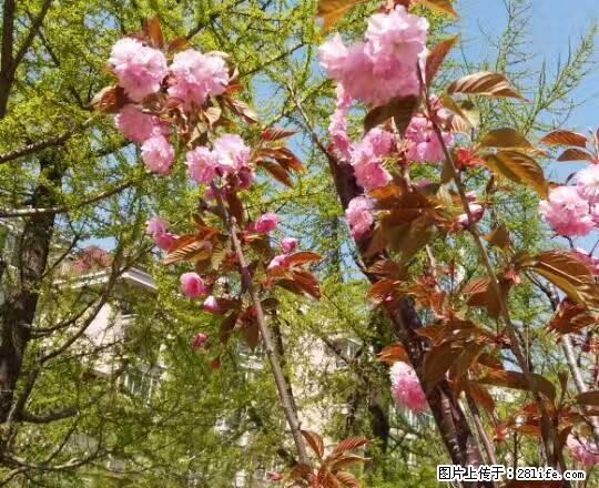 家天下谷峰家园高层52平米热水器衣柜冰箱干净明亮暖和 - 房屋出租 - 房屋租售 - 佳木斯分类信息 - 佳木斯28生活网 jms.28life.com