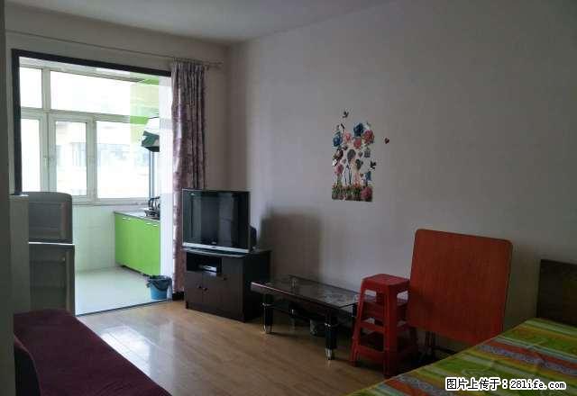 福兴家园高层,报业大厦,4楼,一室一厅,60平,床,电视 - 房屋出租 - 房屋租售 - 佳木斯分类信息 - 佳木斯28生活网 jms.28life.com