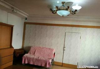 教育三小区,九中二小,78平,3楼,两室一厅,床,衣柜,热水 - 佳木斯28生活网 jms.28life.com