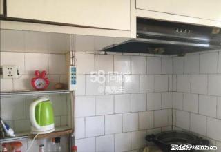 二十中附近,交通便利 - 佳木斯28生活网 jms.28life.com