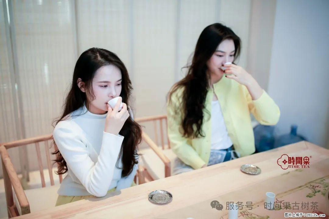 时间果百年古树龙珠普洱生茶 - 购物交流 - 佳木斯生活社区 - 佳木斯28生活网 jms.28life.com