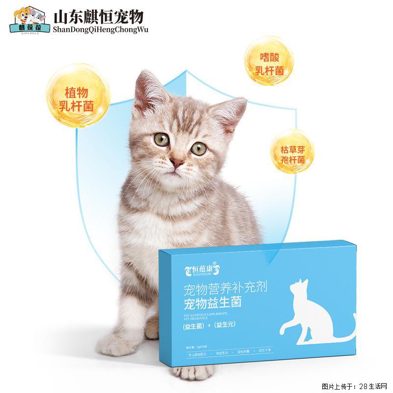 省级标准实验室加持,品控体系铸就安全防线 - 宠物交易 - 宠物信息 - 佳木斯分类信息 - 佳木斯28生活网 jms.28life.com