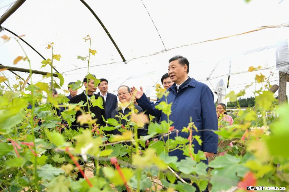 习近平赴广西考察调研 - 佳木斯生活资讯 - 佳木斯28生活网 jms.28life.com