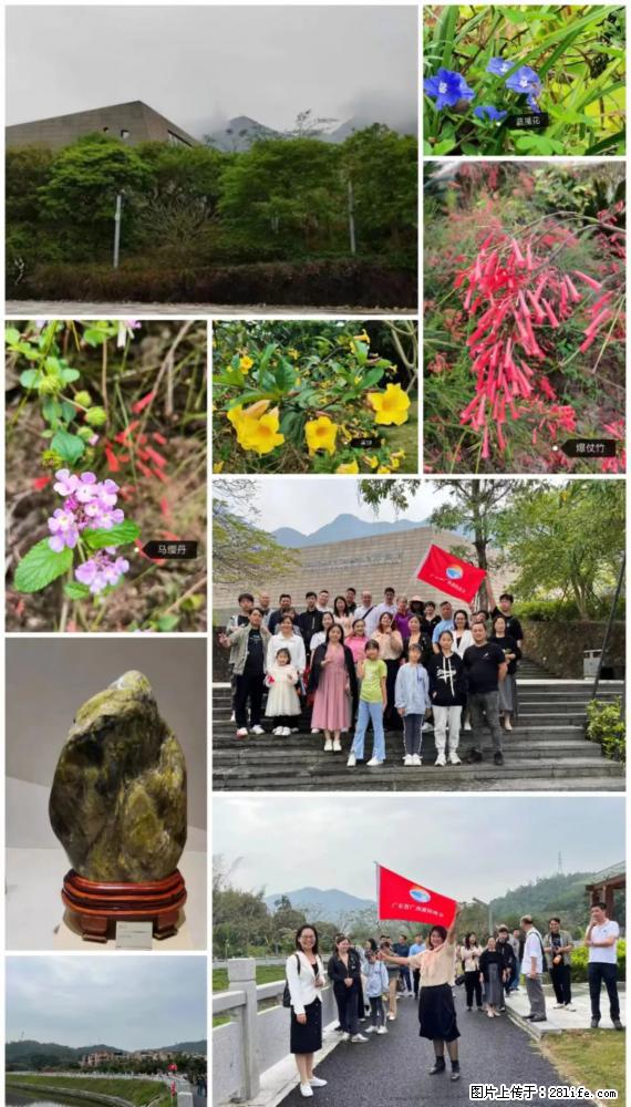 “粤灌文化 美好生活”油茶文化主题活动在广东深圳成功举办 - 佳木斯生活资讯 - 佳木斯28生活网 jms.28life.com