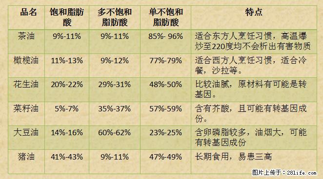 揭秘茶油的5大核心营养成分!被称为人体健康的“守护盾”! - 佳木斯生活资讯 - 佳木斯28生活网 jms.28life.com