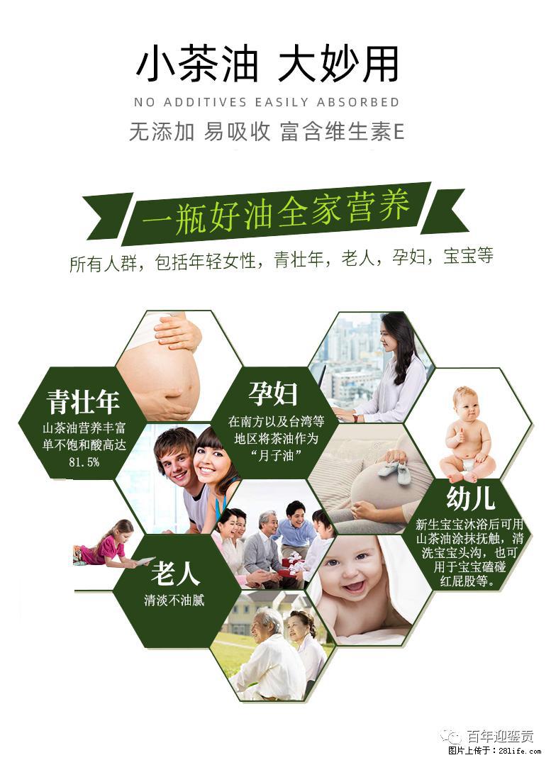 世界没有真相,只有认知,最好的食用油是中国的山茶油! - 佳木斯生活资讯 - 佳木斯28生活网 jms.28life.com