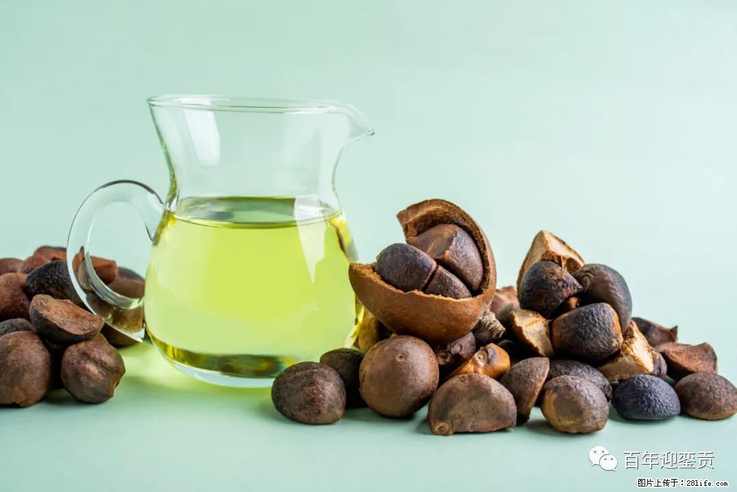 世界没有真相，只有认知，最好的食用油是中国的山茶油！ - 佳木斯生活资讯 - 佳木斯28生活网 jms.28life.com