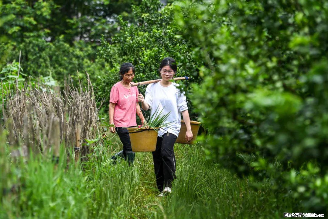全网追的“扁担女孩”，找了一份暑假工，时薪12元 - 佳木斯生活资讯 - 佳木斯28生活网 jms.28life.com