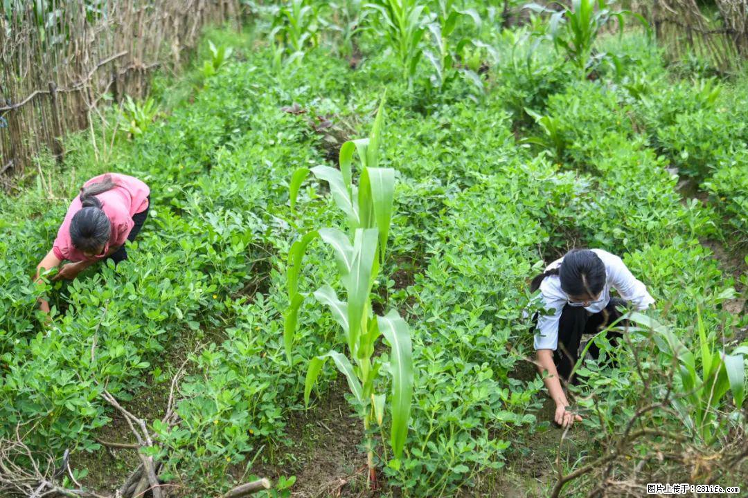 全网追的“扁担女孩”，找了一份暑假工，时薪12元 - 佳木斯生活资讯 - 佳木斯28生活网 jms.28life.com