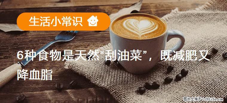 【生活小常识】6种食物是天然“刮油菜”，既减肥又降血脂 - 佳木斯生活资讯 - 佳木斯28生活网 jms.28life.com