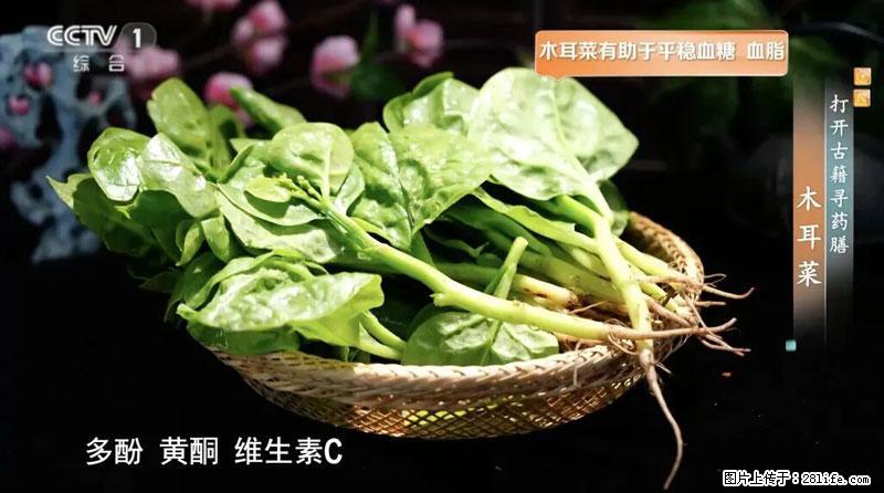 比牛奶补钙还厉害！凉血解毒、稳血糖...这菜冬天必吃，很多人却当草 - 佳木斯生活资讯 - 佳木斯28生活网 jms.28life.com