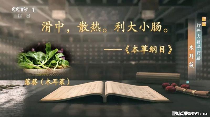 比牛奶补钙还厉害！凉血解毒、稳血糖...这菜冬天必吃，很多人却当草 - 佳木斯生活资讯 - 佳木斯28生活网 jms.28life.com