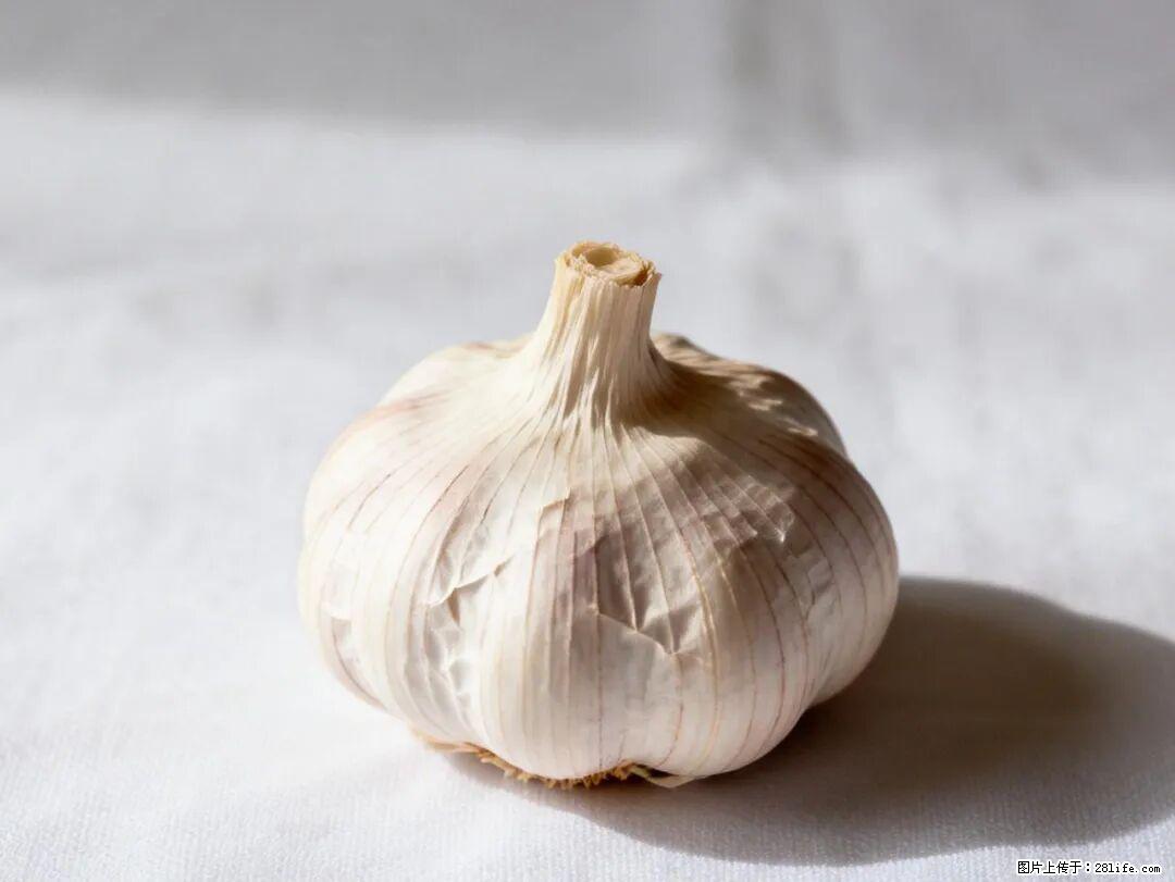 关于大蒜，除了“天然抗生素”，这4个谣言更该警惕! - 佳木斯生活资讯 - 佳木斯28生活网 jms.28life.com