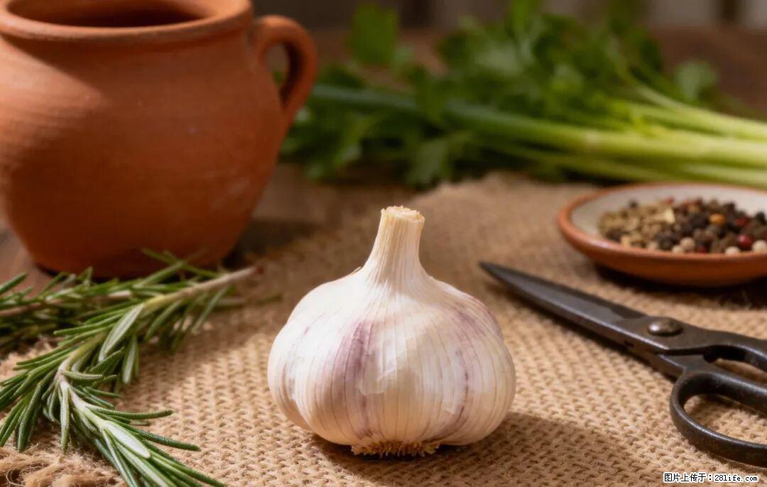 关于大蒜，除了“天然抗生素”，这4个谣言更该警惕! - 佳木斯生活资讯 - 佳木斯28生活网 jms.28life.com