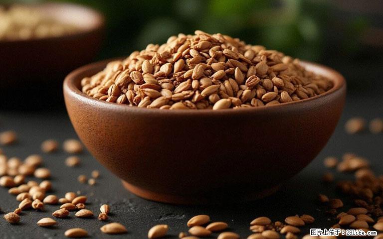 这三苦是三高“克星”，心血管干净不易堵！每天吃一点，指标慢慢降下来~ - 佳木斯生活资讯 - 佳木斯28生活网 jms.28life.com