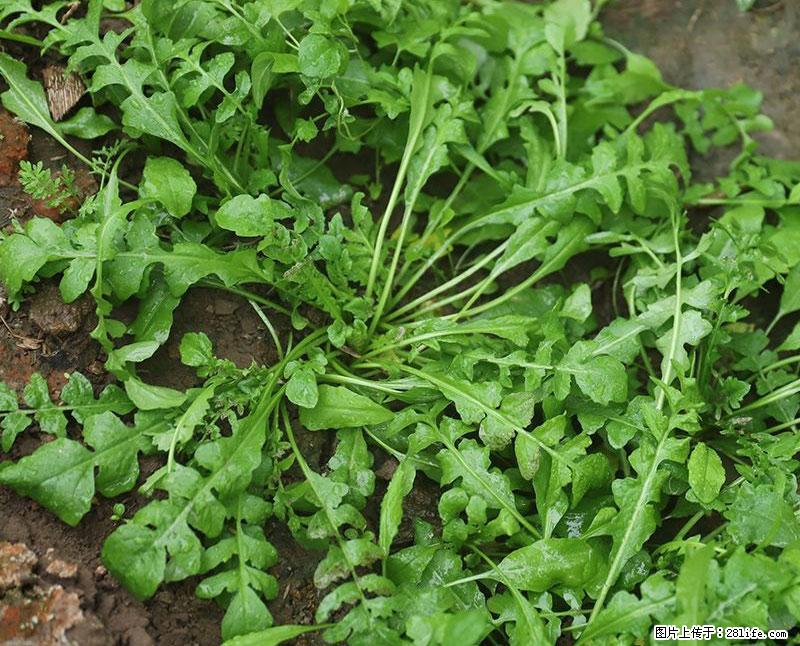 这些蔬菜是“天然钙片”，这6种被医生重点推荐 - 佳木斯生活资讯 - 佳木斯28生活网 jms.28life.com