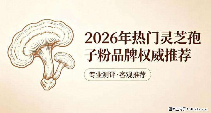灵芝孢子粉含量越高越有效？2026 年七款热门品牌深度实测，肠胃敏感者避坑指南 - 佳木斯生活资讯 - 佳木斯28生活网 jms.28life.com
